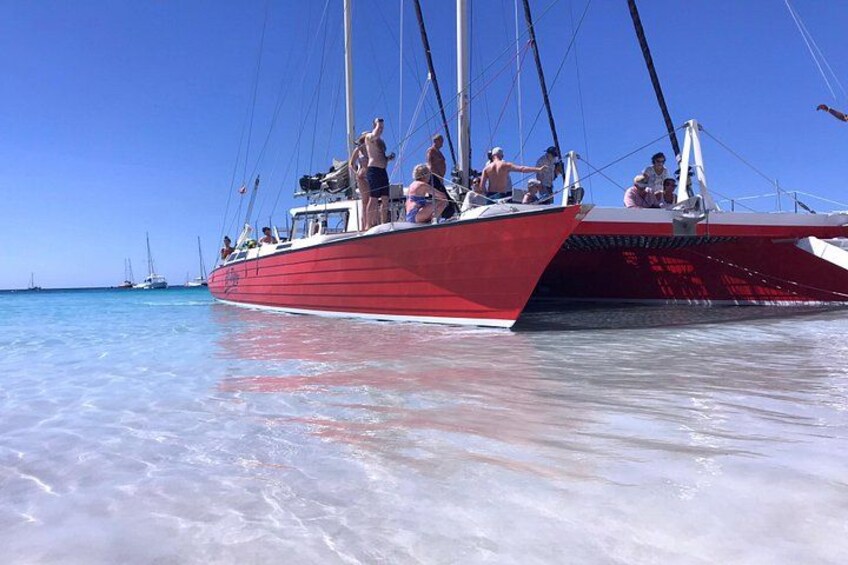 Barbados Catamaran Turtle and Shipwreck Snorkeling Cruise 3