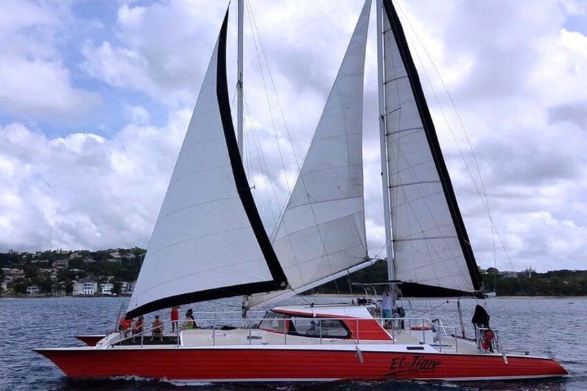 Barbados Catamaran Turtle and Shipwreck Snorkeling Cruise 2