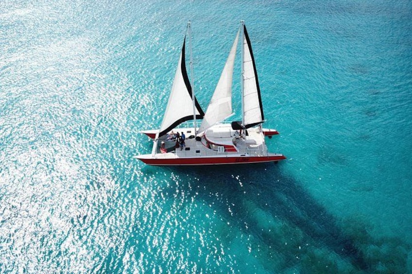 Barbados Catamaran Turtle and Shipwreck Snorkeling Cruise 4