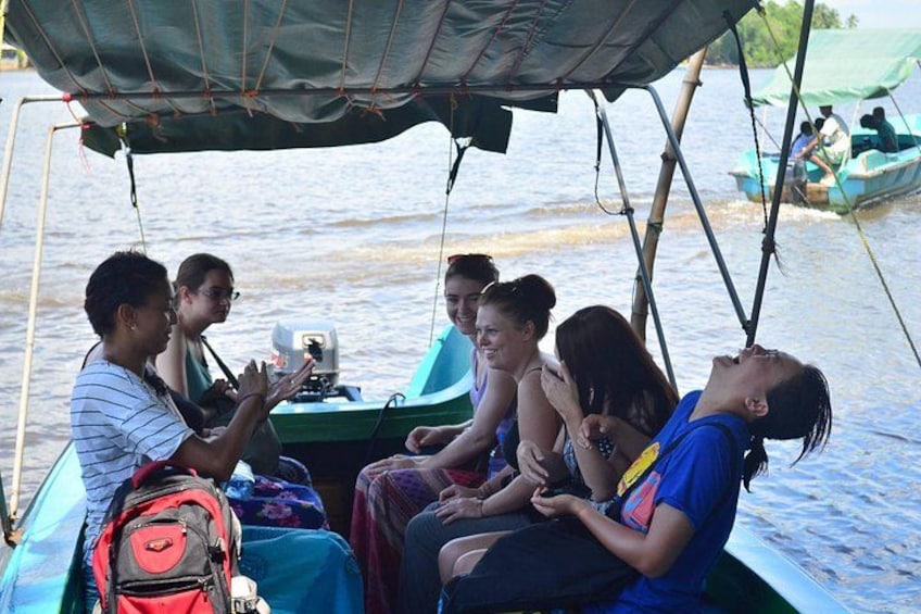 Bentota River Safari By BTM (Mangrove & Wildlife Encounter) 3