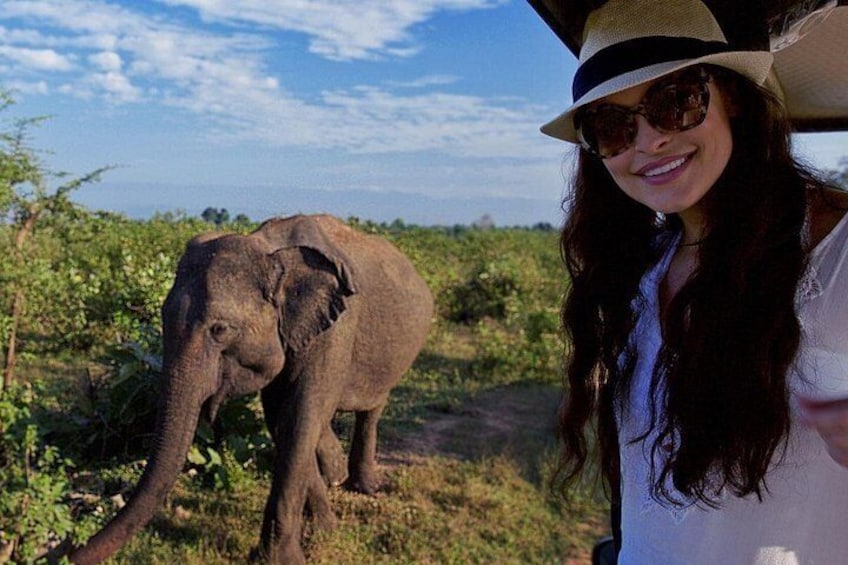 Udawalawe Safari Day Trip with Return Transport - All Inclusive 4