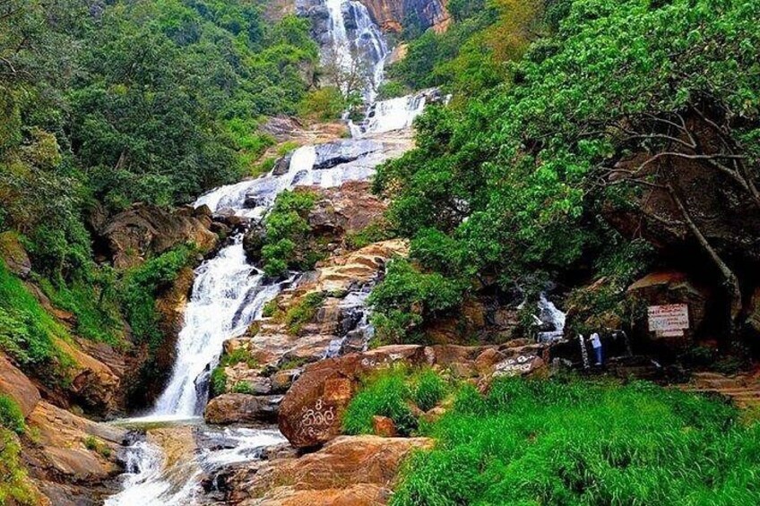 Udawalawe Safari & Ella Day Trip - Private & All Inclusive 4
