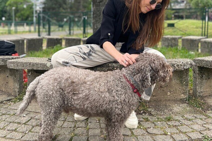 A person sitting on a stone bench with a curly-haired dog wearing a red collar. 3