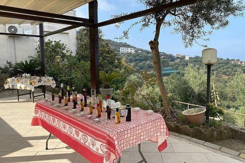 An outdoor dining area with a table set for a meal, surrounded by olive trees and a scenic view of a hilly landscape. 3