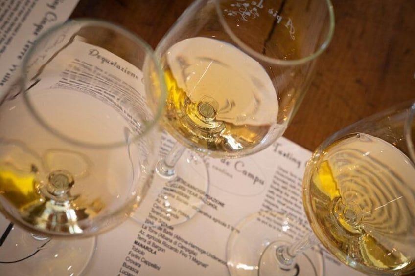 Des verres de vin blanc, un menu et une table en bois. 3
