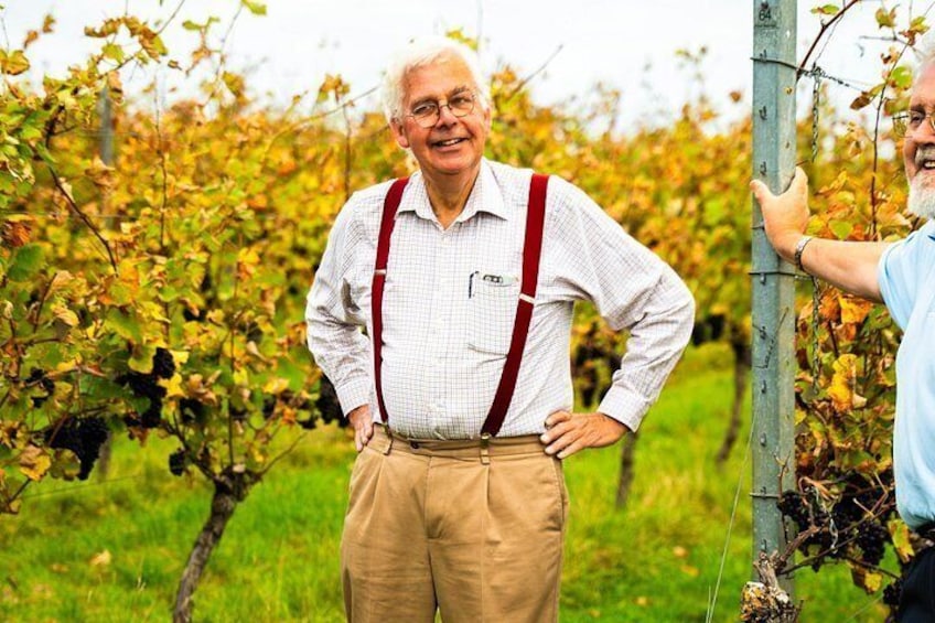 Sussex Vineyard & Winery Bus Tour on Iconic Vintage London Bus 5