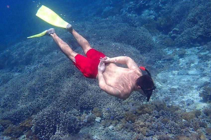 From Lembongan: Snorkeling Day Trip to Nusa Lembongan & nusa Penida island 1