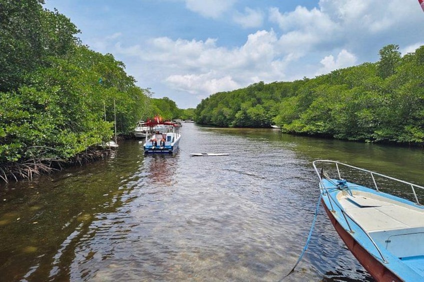 From Lembongan: Snorkeling Day Trip to Nusa Lembongan & nusa Penida island 5
