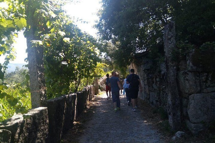 A stone pathway with people walking, surrounded by greenery and a stone wall. 3