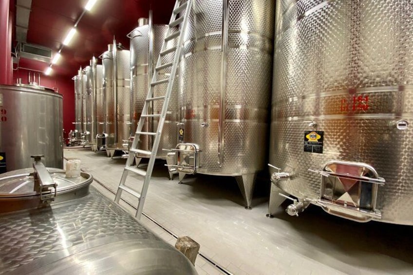Amarone wine tour , 2 wineries with delicious lunch & panoramic stops 2