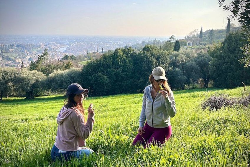 Grand tour of Valpolicella : Amarone focus, 2 Wineries and Lunch 2