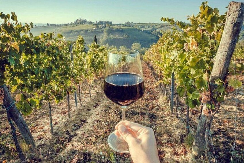 Private Lisbon Arrabida Wine Tour: Food & Wines, Mountain and Sea 4