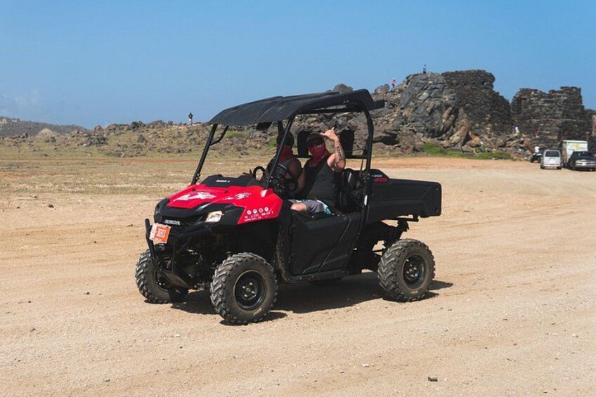 2 Seater UTV 4
