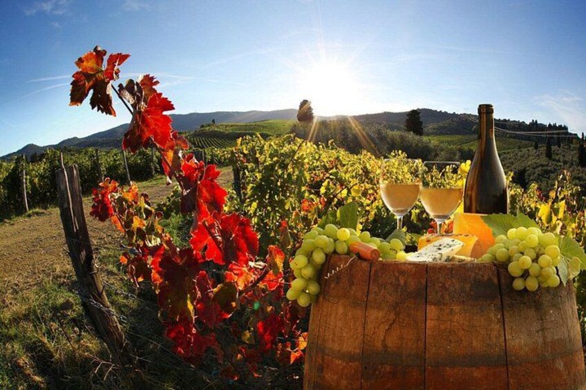 Montecarlo (Lucca) and Wine Tasting from Lucca Private Tour 2