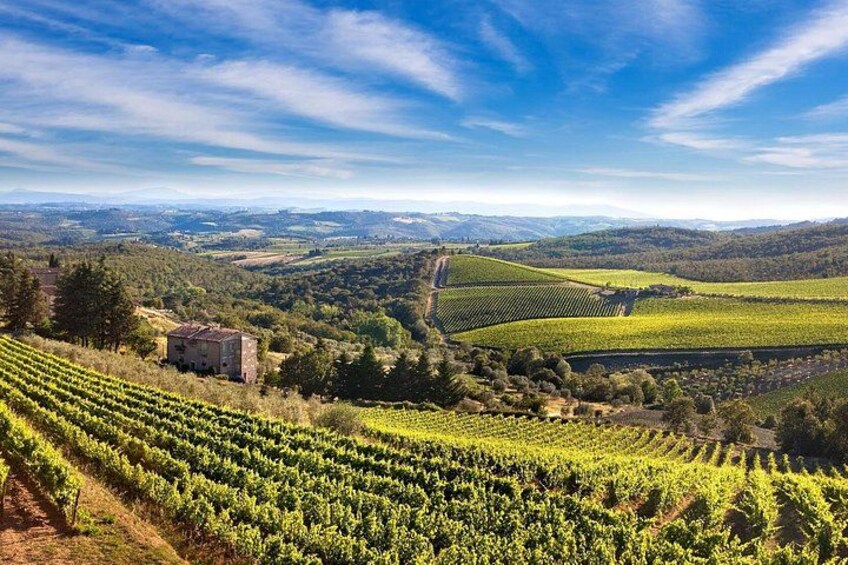 Montecarlo (Lucca) and Wine Tasting from Lucca Private Tour 2
