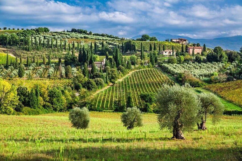 Montecarlo (Lucca) and Wine Tasting from Lucca Private Tour 1