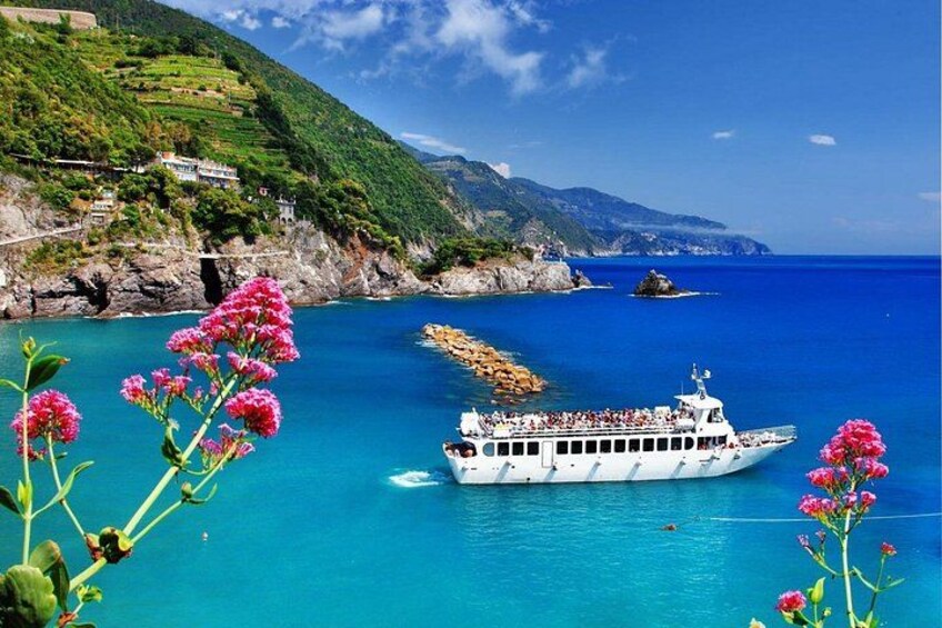 Cinque Terre Small Group Tour max 13 people from Livorno port 1