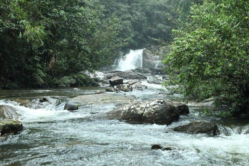 A river flowing through a forest with rocks and a waterfall in the background. 1