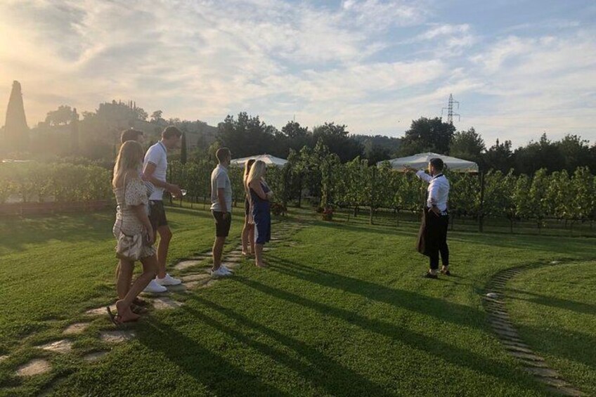 Chianti wine tasting at the sunser 3
