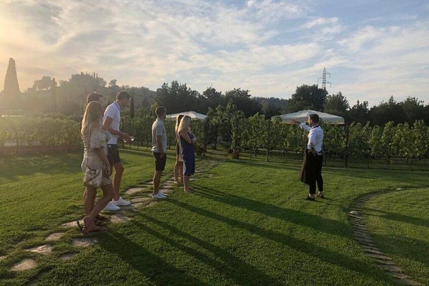 Chianti wine tasting at the sunser 3