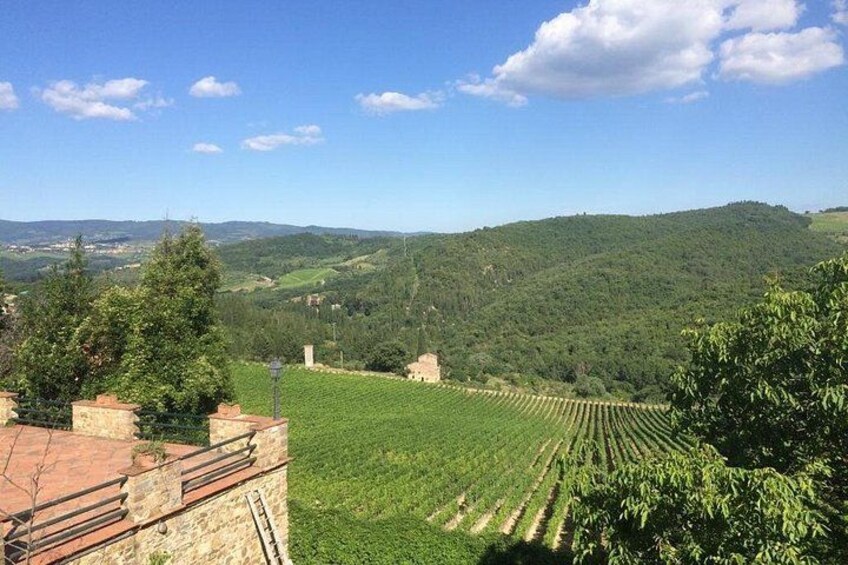 A vineyard with rows of grapevines, a stone building, and rolling hills in the background. 4