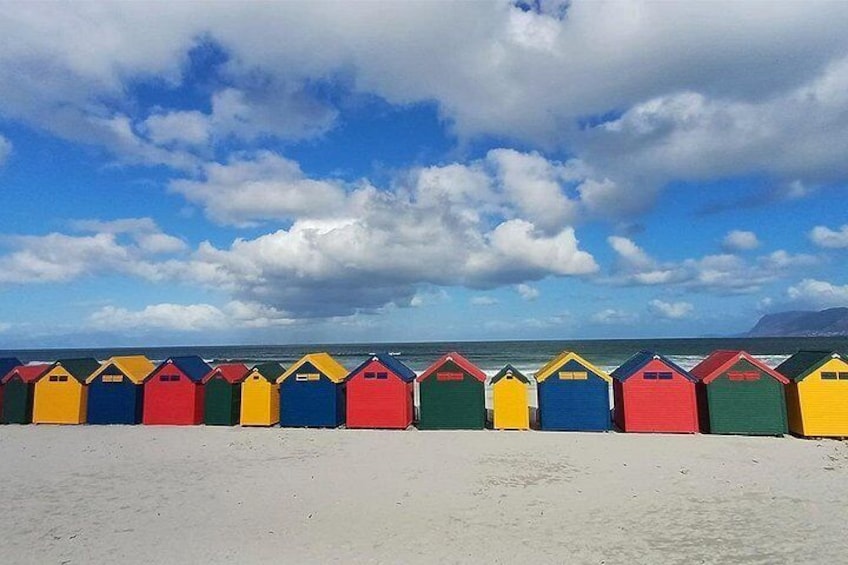 Cape Town Private Tour: Table Mountain, Cape Point & Penguins 3