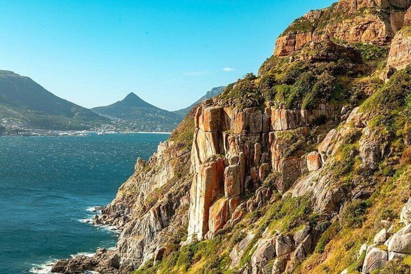 Cape Town Private Tour: Table Mountain, Cape Point & Penguins 4