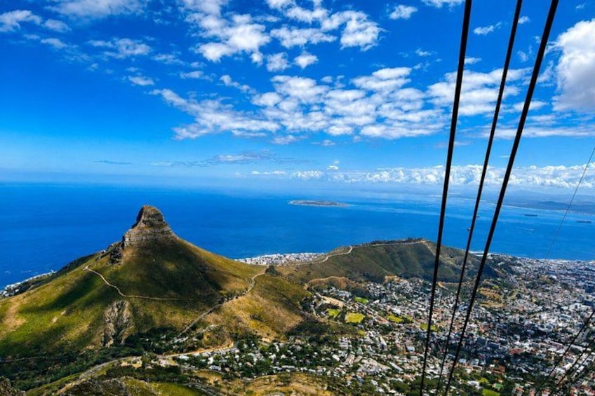 Cape Town Private Tour: Table Mountain, Cape Point & Penguins 2