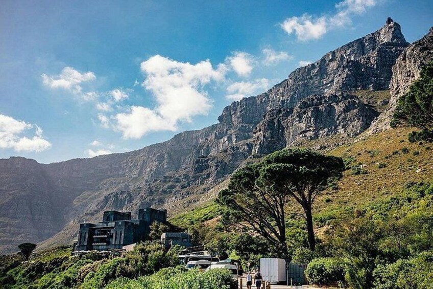 Cape Town Private Tour: Table Mountain, Cape Point & Penguins 5
