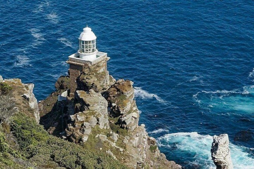 Cape Town Private Tour: Table Mountain, Cape Point & Penguins 3