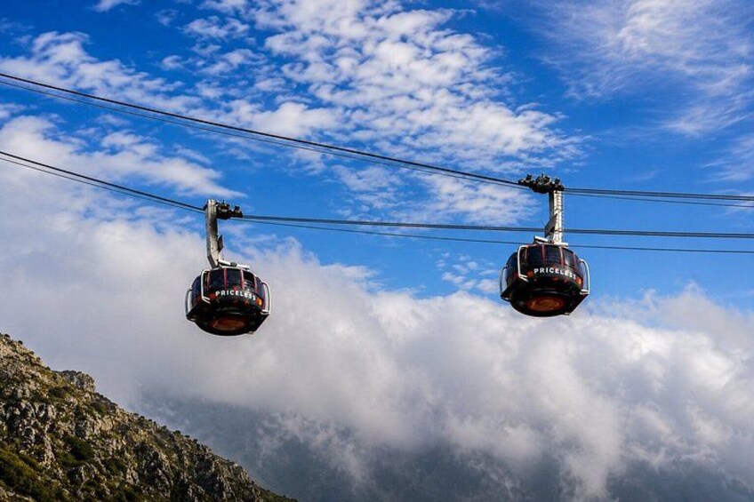 Cape Town Private Tour: Table Mountain, Cape Point & Penguins 3