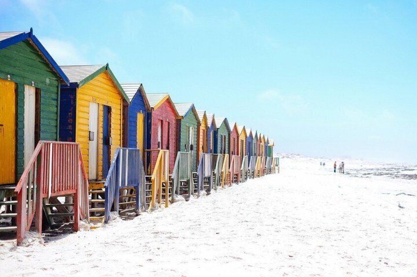 Cape Town Private Tour: Table Mountain, Cape Point & Penguins 4