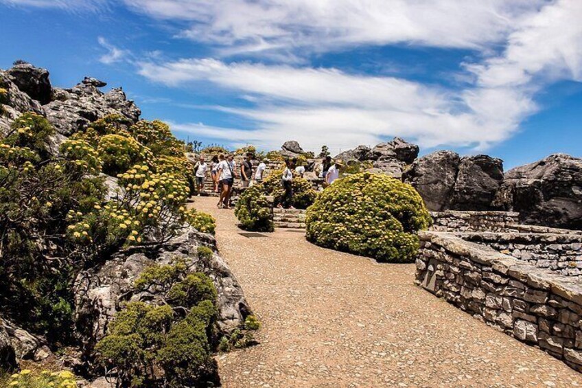 Table Mountain 3
