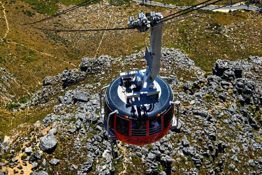 Cape Town Private Tour: Table Mountain, Cape Point & Penguins 4