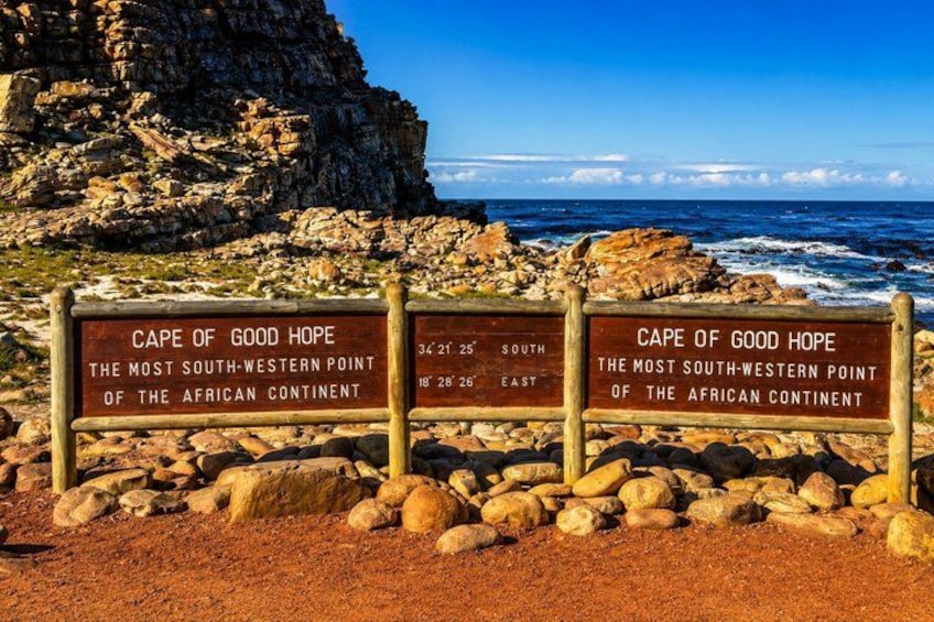 Cape Town: Peninsula, Cape of Good Hope & Boulders Beach Penguins 2