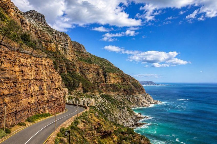 Cape Town: Peninsula, Cape of Good Hope & Boulders Beach Penguins 3