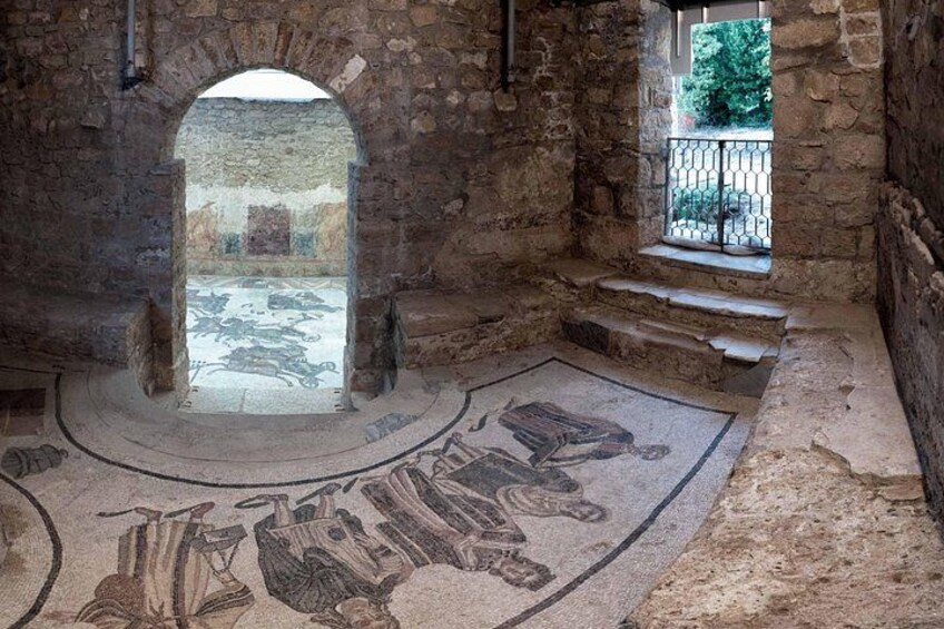 Roman Villa mosaic 2