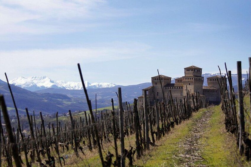 Parma Food Valley Gourmet Private Tour Easy 4