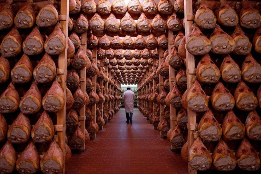 Private Food Tour Including Parmigiano Reggiano and Prosciutto di Parma 4