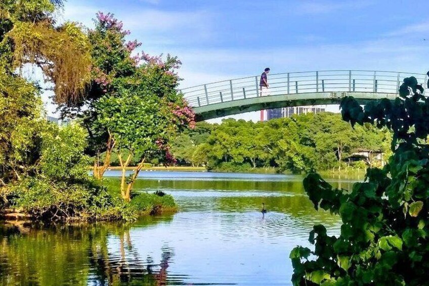 A bridge over a calm body of water, surrounded by lush greenery and trees. 4