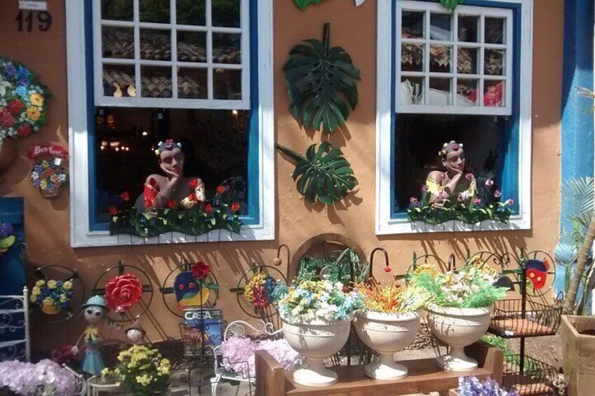 A storefront with two windows displaying colorful flowers and a variety of potted plants. 5
