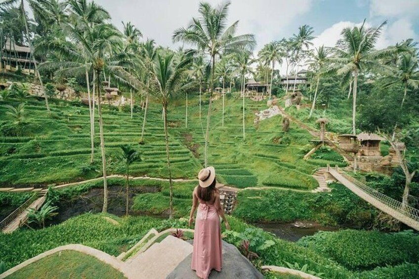 rice terrace