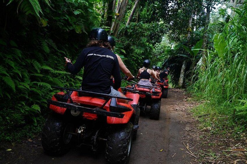 Mensen rijden op rode quads over een smal bospad. 4