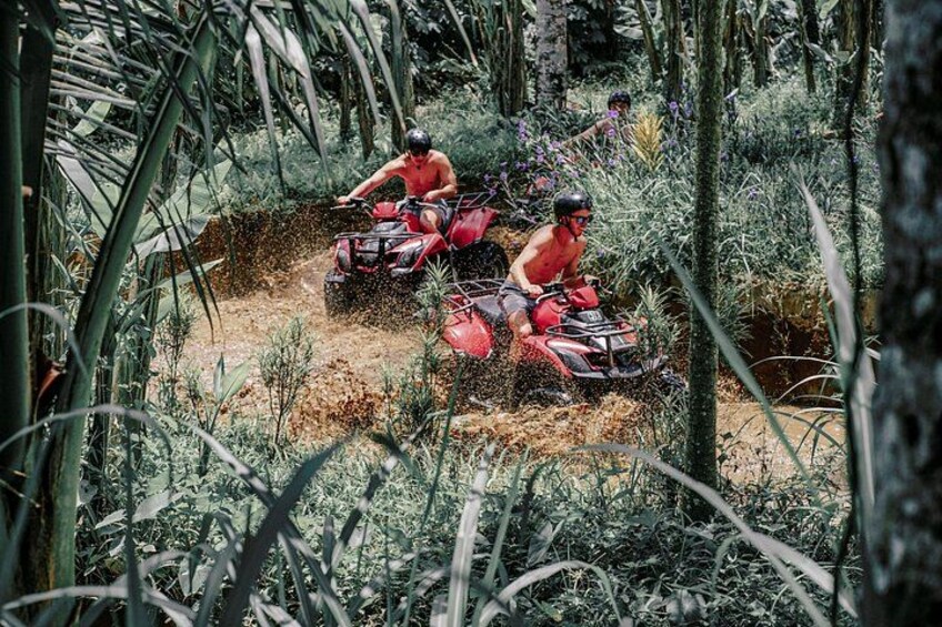 Three people riding atv's through a forest. 4