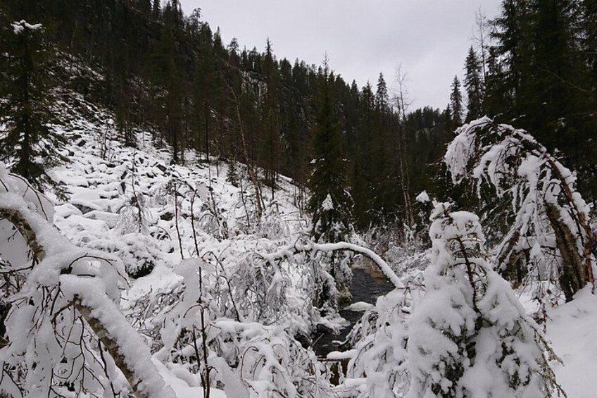 Hiking area 2