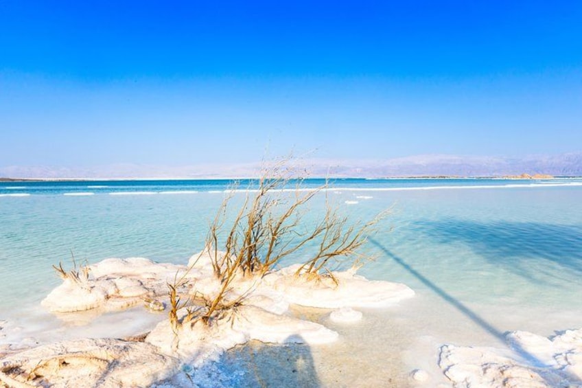 Un ciel d’un bleu limpide, un lac gelé et une végétation clairsemée. 3