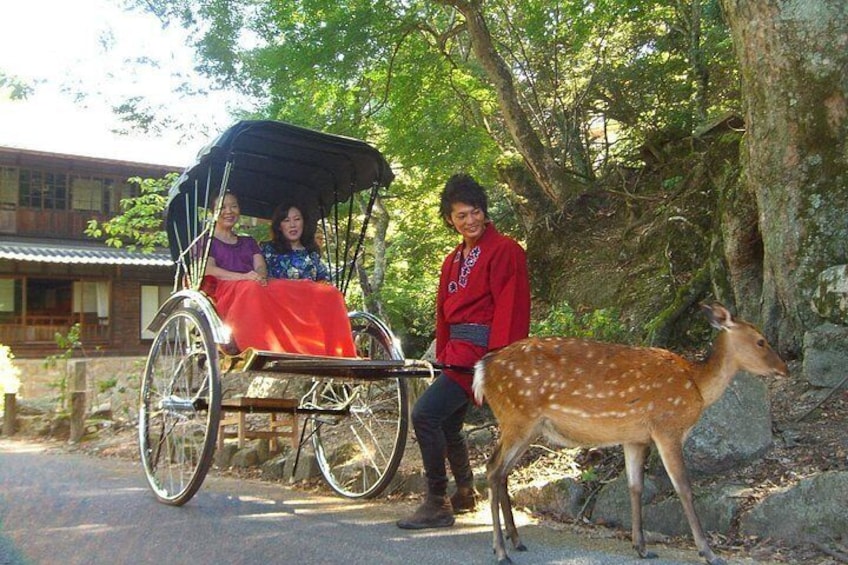 A person in a red jacket riding a horse-drawn carriage, a deer standing beside the carriage, and a building in the background. 2