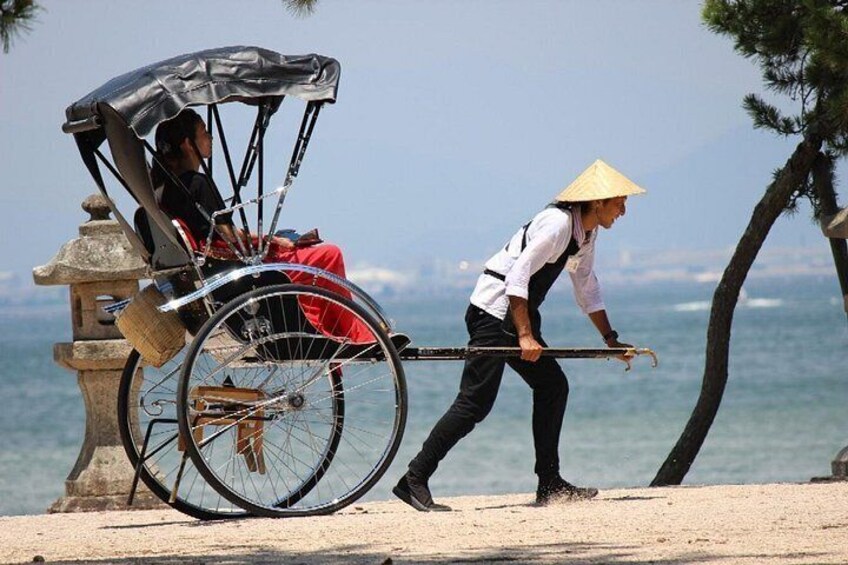 A person pushing a rickshaw with a passenger seated inside. 4