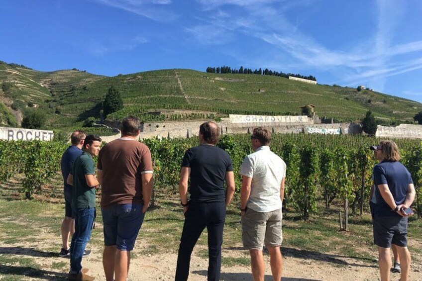 Northern Rhône Valley From Lyon Full day 1