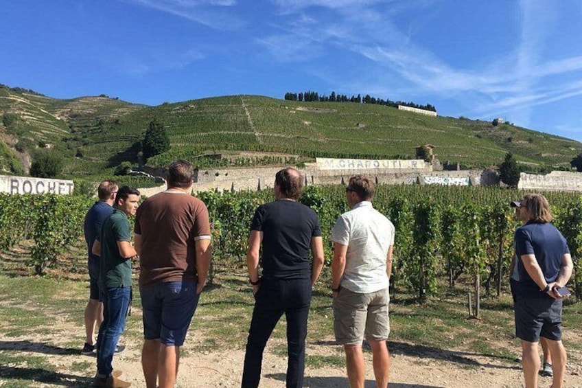 Northern Rhône Valley From Lyon Full day 5